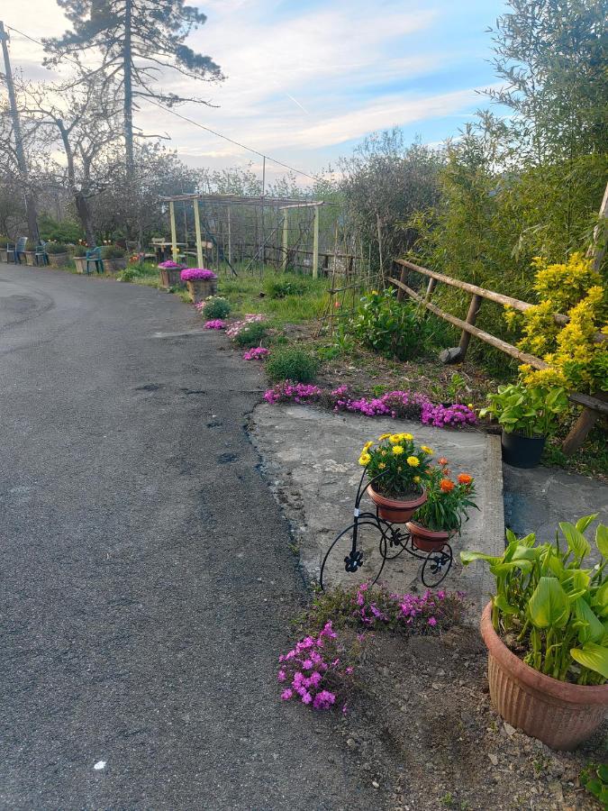 Il Giardino Dei Pavoni Hotel Soviore ภายนอก รูปภาพ