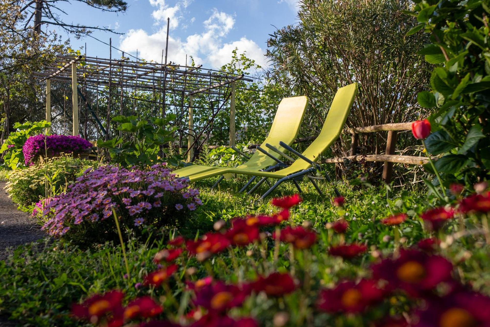 Il Giardino Dei Pavoni Hotel Soviore ภายนอก รูปภาพ